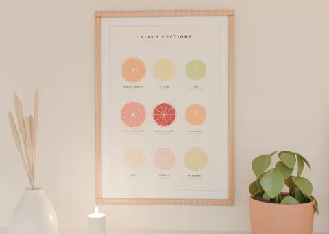 Citrus Sections shown in a room (illustrative mockup, frame not included)