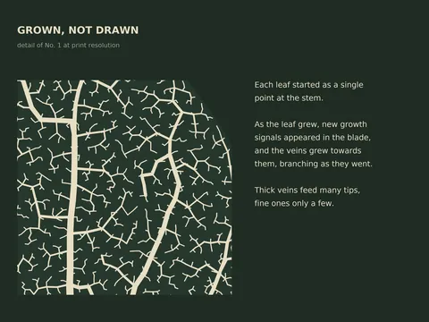 Grown Leaves: close-up detail with notes on the design