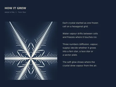 Grown Snow: close-up detail with notes on the design