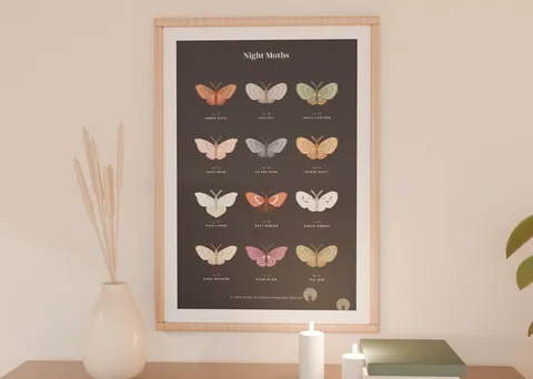 Night Moths shown in a room (illustrative mockup, frame not included)