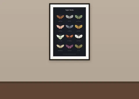 Night Moths shown in a room (illustrative mockup, frame not included)