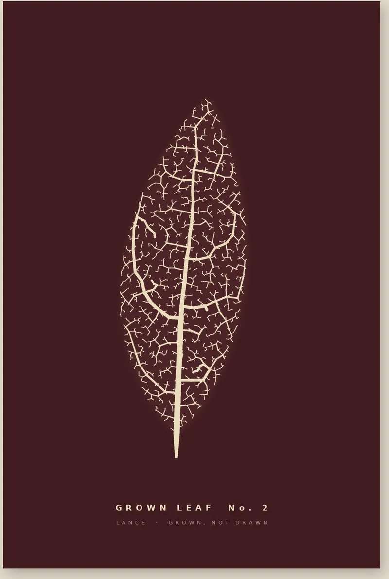 Grown Leaves: a leaf skeleton with cream veins on deep green