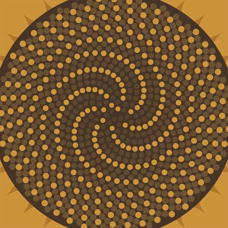Close-up of the sunflower from Golden Angle: seeds spiralling outwards, each placed 137.5 degrees from the one before